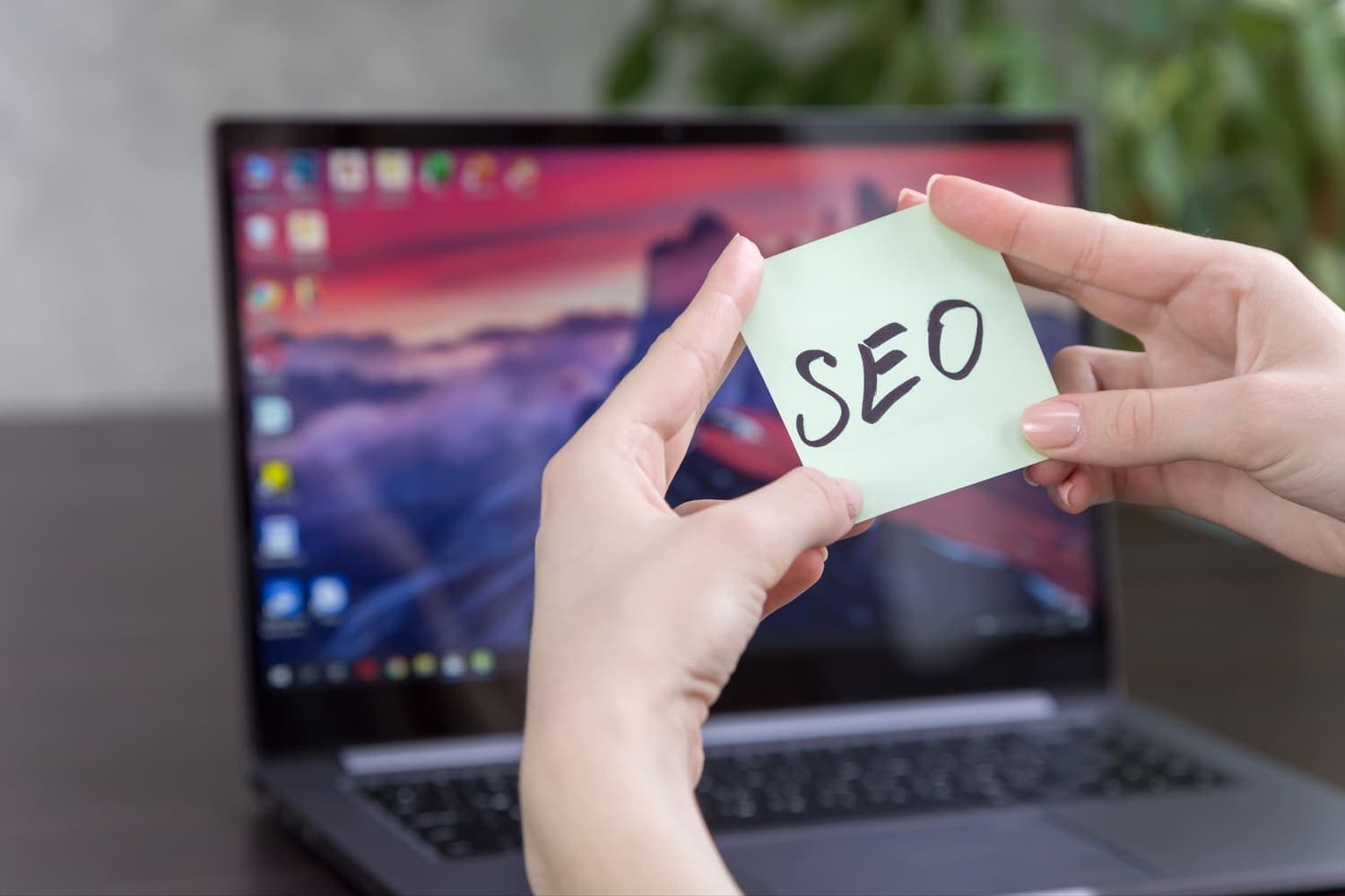 SEO Agency Uri